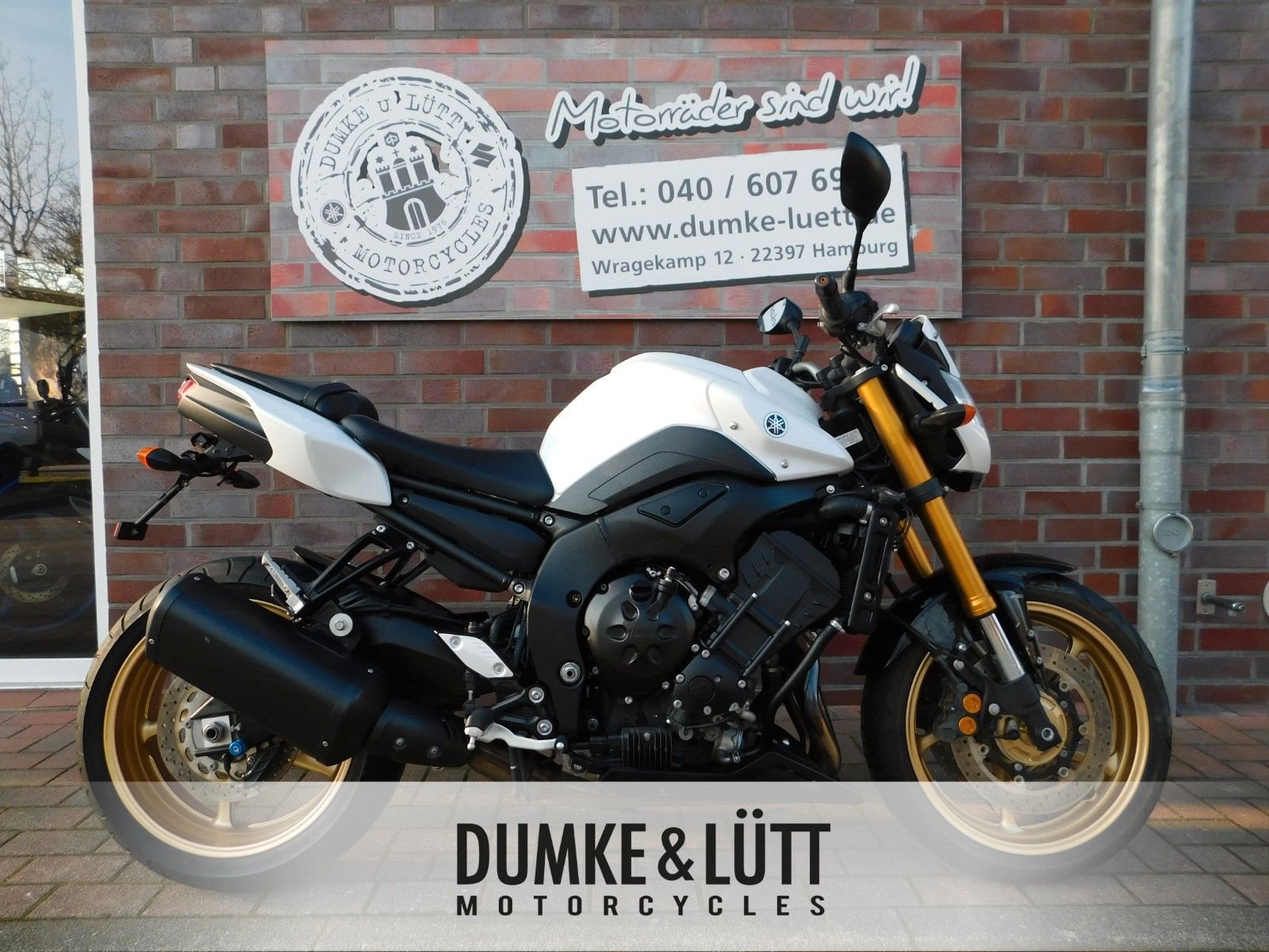 Yamaha FZ-8N