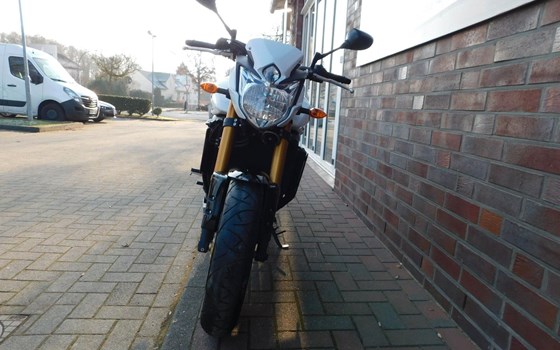 Gebrauchtmotorrad Yamaha FZ-8N - Bild 3