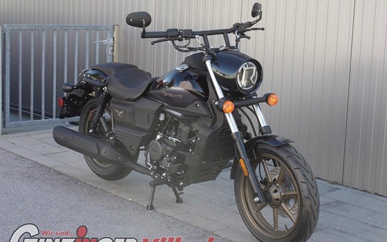 Neufahrzeug United Motors UM Renegade Freedom 125 - Bild 1