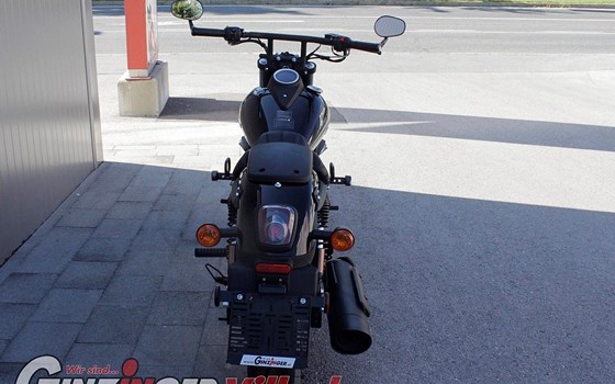 Neufahrzeug United Motors UM Renegade Freedom 125 - Bild 5