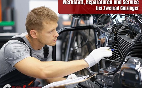 Neufahrzeug United Motors UM Chill 125 - Bild 8