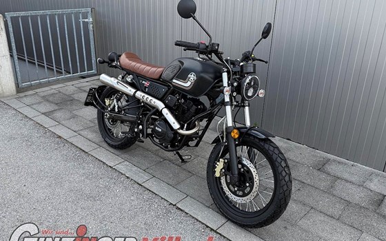 Neufahrzeug United Motors UM Scrambler X Naked 125 - Bild 1