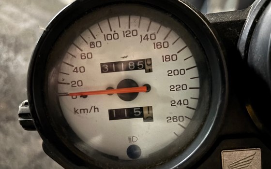 Gebrauchtmotorrad Honda CB 600 F Hornet - Bild 3