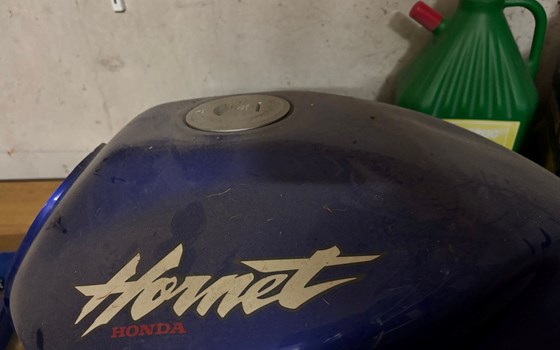 Gebrauchtmotorrad Honda CB 600 F Hornet - Bild 5