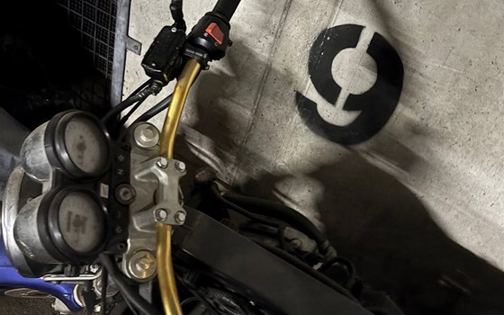 Gebrauchtmotorrad Honda CB 600 F Hornet - Bild 6