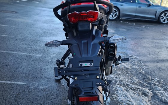 Neufahrzeug Ducati Multistrada V4 Rally - Bild 6