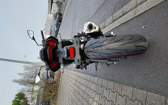 Neufahrzeug Kawasaki Z900 70kW - Bild 7