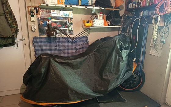 Gebrauchtmotorrad Ducati Monster 821 Dark - Bild 5