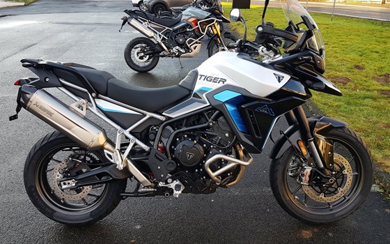 Neufahrzeug Triumph Tiger 900 Alpine Edition - Bild 4