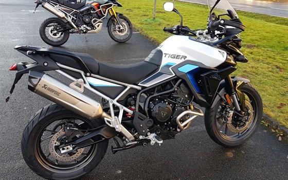 Neufahrzeug Triumph Tiger 900 Alpine Edition - Bild 6