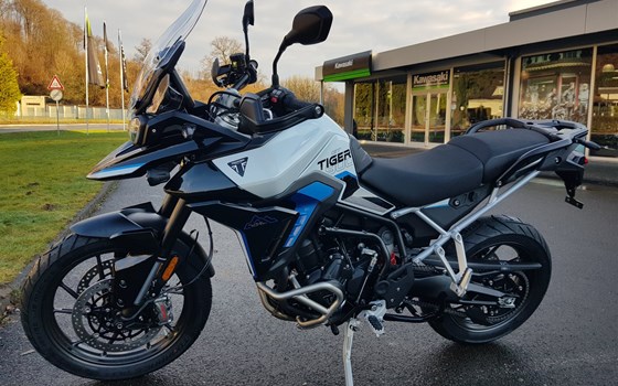 Neufahrzeug Triumph Tiger 900 Alpine Edition - Bild 5