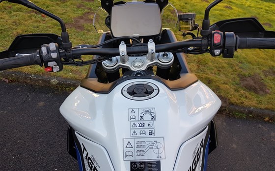 Neufahrzeug Triumph Tiger 900 Alpine Edition - Bild 3