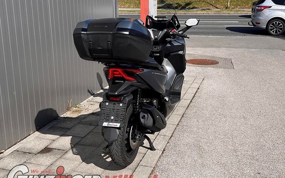 Gebrauchtmotorrad Honda Forza 350 - Bild 3