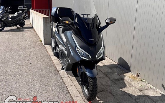 Gebrauchtmotorrad Honda Forza 350 - Bild 6