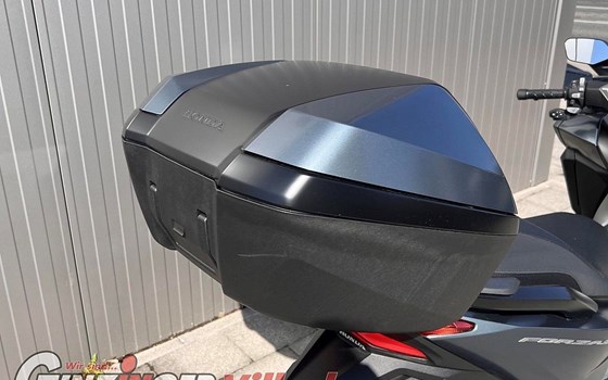 Gebrauchtmotorrad Honda Forza 350 - Bild 8