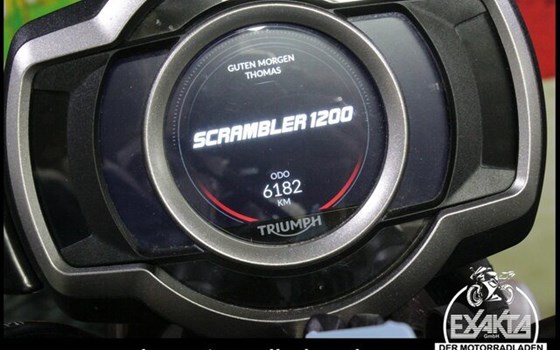Gebrauchtmotorrad Triumph Scrambler 1200 Steve McQueen Edition - Bild 12