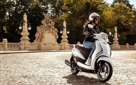 Neufahrzeug Yamaha D'elight - Bild 8