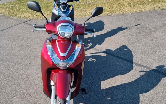 Neufahrzeug Honda SH125 - Bild 12