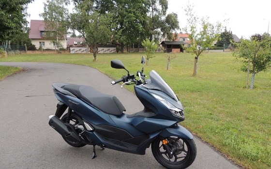 Neufahrzeug Honda PCX125 - Bild 1