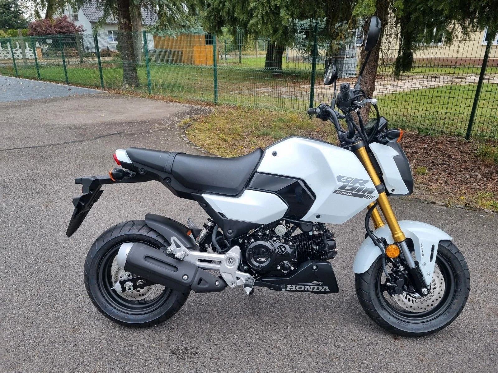 Honda MSX125 Grom