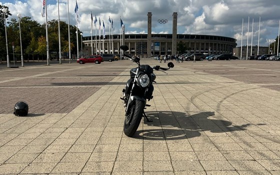 Gebrauchtmotorrad Suzuki SFV 650 Gladius - Bild 8