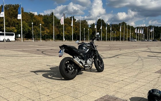 Gebrauchtmotorrad Suzuki SFV 650 Gladius - Bild 9