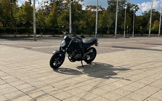 Gebrauchtmotorrad Suzuki SFV 650 Gladius - Bild 10