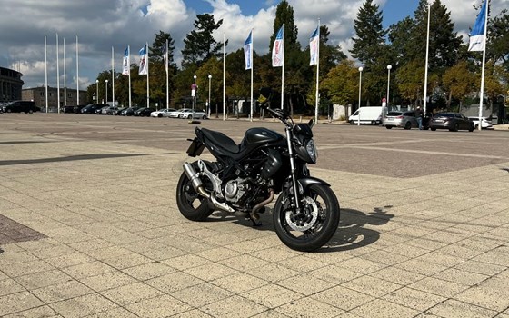 Gebrauchtmotorrad Suzuki SFV 650 Gladius - Bild 6