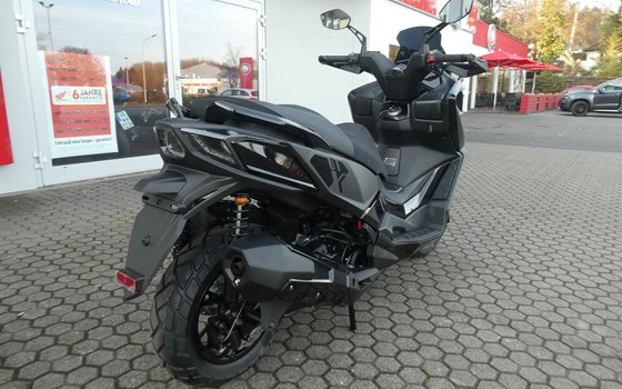 Neufahrzeug Kymco DT X 350i ABS - Bild 9