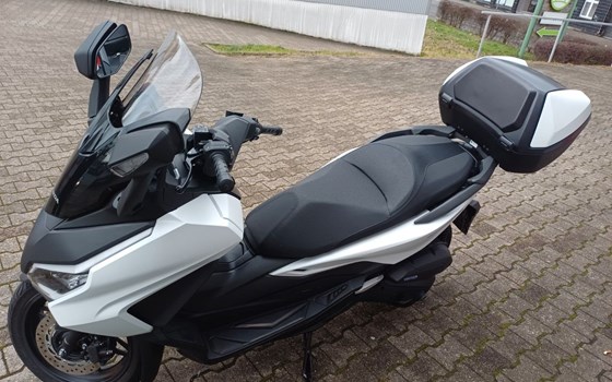 Gebrauchtmotorrad Honda Forza 125 - Bild 2