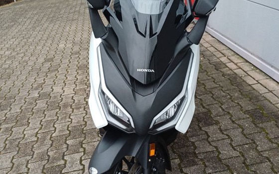 Gebrauchtmotorrad Honda Forza 125 - Bild 3