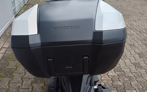 Gebrauchtmotorrad Honda Forza 125 - Bild 5