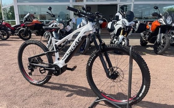 Neufahrzeug GASGAS MXA - Bild 4