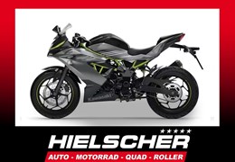 Neumotorrad Kawasaki Ninja 125