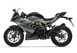 Neumotorrad Kawasaki Ninja 125