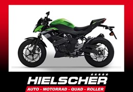 Neumotorrad Kawasaki Z125