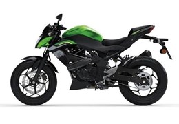 Neumotorrad Kawasaki Z125