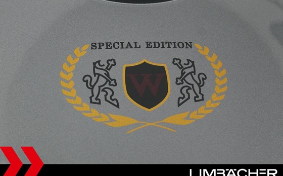 Gebrauchtmotorrad Kawasaki W800 - Bild 20