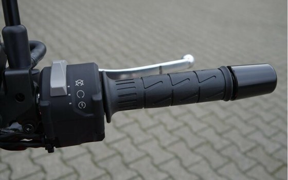 Neufahrzeug Kawasaki Z900 RS SE - Bild 19
