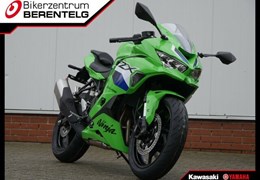 Neumotorrad Kawasaki Ninja ZX-4RR