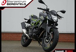 Neumotorrad Kawasaki Z125
