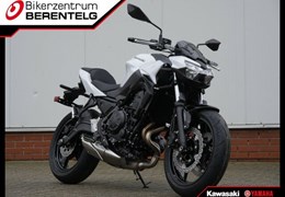 Neumotorrad Kawasaki Z650
