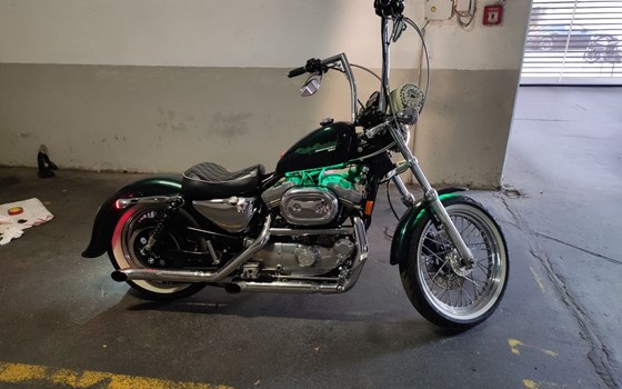 Gebrauchtmotorrad Harley-Davidson Sportster XL 883 - Bild 11