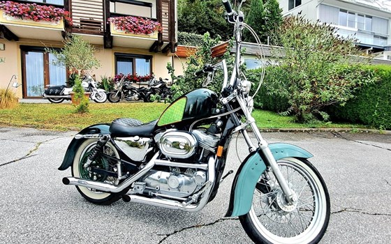 Gebrauchtmotorrad Harley-Davidson Sportster XL 883 - Bild 3