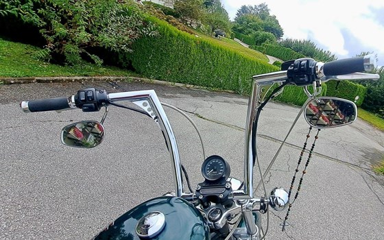 Gebrauchtmotorrad Harley-Davidson Sportster XL 883 - Bild 5