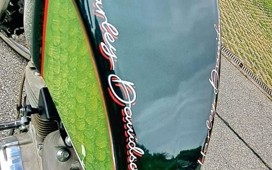 Gebrauchtmotorrad Harley-Davidson Sportster XL 883 - Bild 8