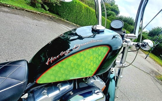 Gebrauchtmotorrad Harley-Davidson Sportster XL 883 - Bild 9