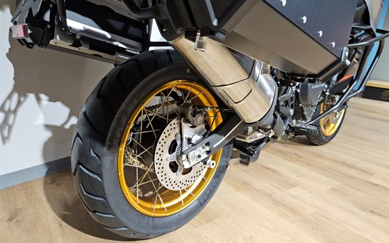 Neufahrzeug QJ Motor SRT 900 SX - Bild 2