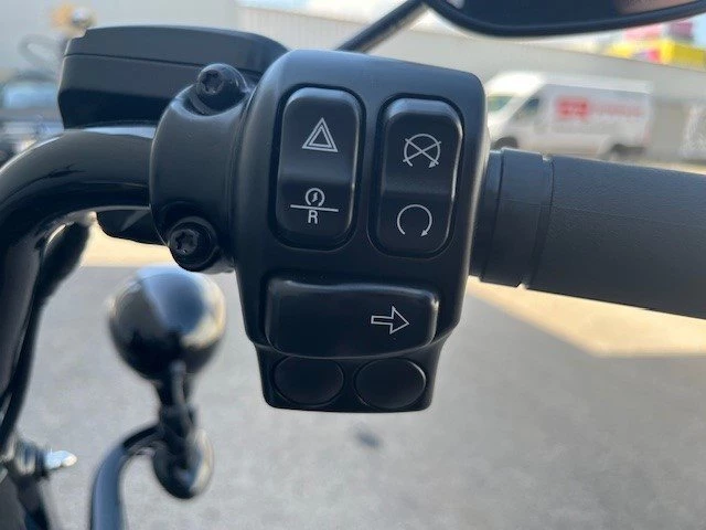 Harley-Davidson Freewheeler (Vivid Black) - Bild 15