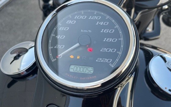 Gebrauchtmotorrad Harley-Davidson Freewheeler - Bild 17